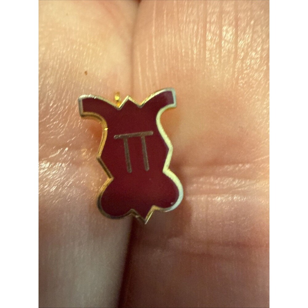 Pi Kappa Alpha Pin Mini Pledge Pinback Tiny Red Enamel Rare Pin Back